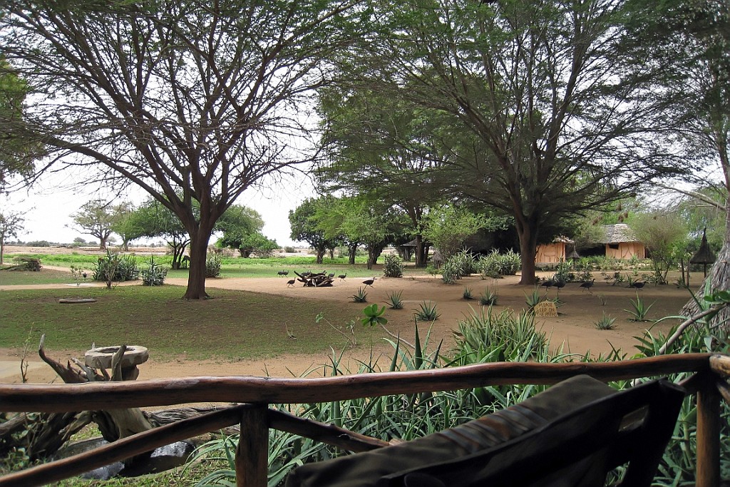 Kenia (402).jpg